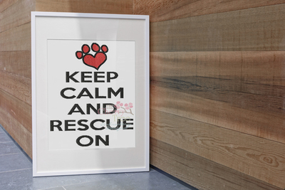 Rescue On